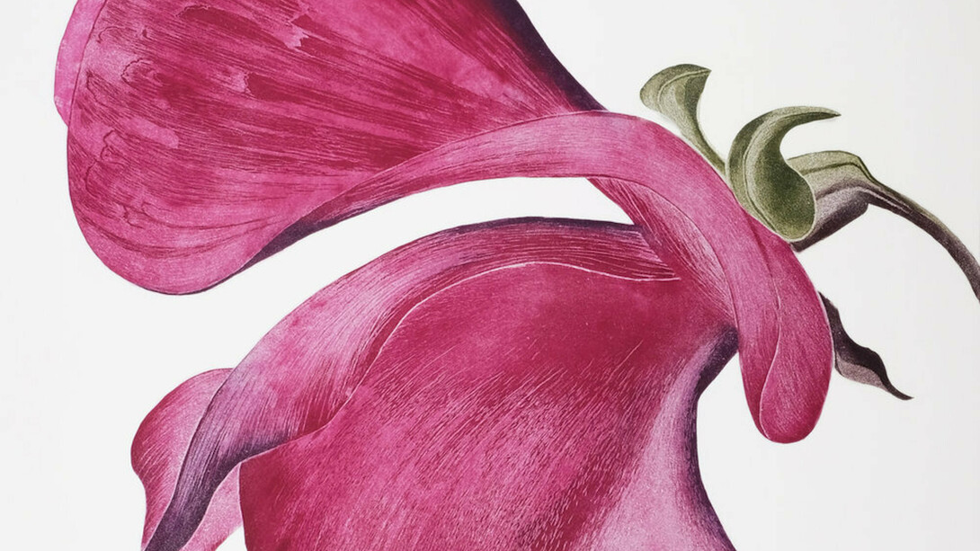 Gráinne Cuffe, Etching, 114 x 108 cm. Courtesy of Graphic Studio Gallery