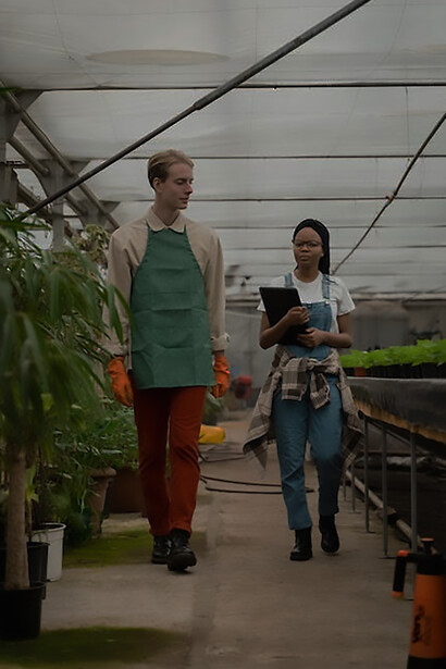 An individual dedicated to sustainability cultivates produce in a greenhouse, exemplifying eco-friendly farming practices that contribute to a more environmentally conscious and resilient agricultural ecosystem