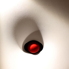 Pelle. Courtesy of Statuto 13 