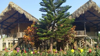 Bungalows view from the garden at Singpho Eco Lodge (Inthong), India