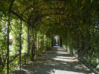 Privy Garden, Palace of Schönbrunn, Vienna, Austria