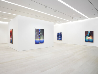 Loie Hollowell. Courtesy of Pace Gallery