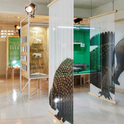 Territorio fósil, vista de exhibición. Cortesía del Museo de Historia Natural La Tatacoa