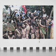 Sheela Gowda, Protest, my son, 2011, Poster, horn and fur objects, Courtesy of the artist and Galleryske, Bangalore, © Peter Cox