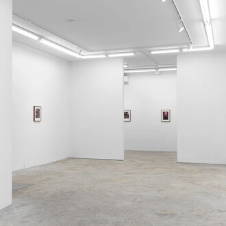 Jessie Makinson, A skeleton to share, exhibition view. Courtesy of Lyles & King 