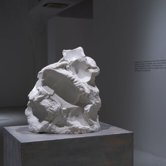 Sui Jianguo, Asian stories, exhibition view. Courtesy of Tokyo Gallery + BTAP