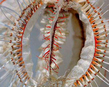 Woman's Hour Craft Prize. Courtesy of Victoria and Albert Museum