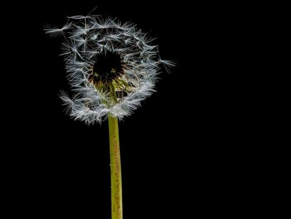 Se vogliamo che il nostro futuro sia positivo, dobbiamo cambiare oggi i nostri schemi mentali negativi
