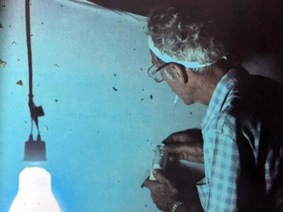 Francisco frente a la lona y bombillo de mercurio colectando insectos atraídos por la luz, durante una de las expediciones de Fundación Terramar al Macizo del Marahuaka, Amazonas, Venezuela,  entre 1983 y 1985 (Foto: Giuseppe Colonnello)