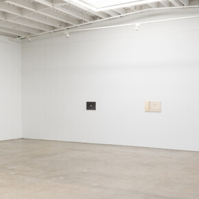 Felipe Suzuki, exhibition view. Courtesy of Karma Gallery