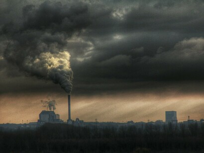 Pollution effects
