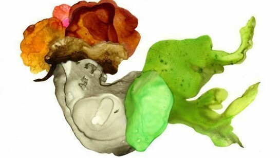 Julie Evans, LL, 2012, Mixed media & tape/mylar/paper, 13 x 15.25 inches