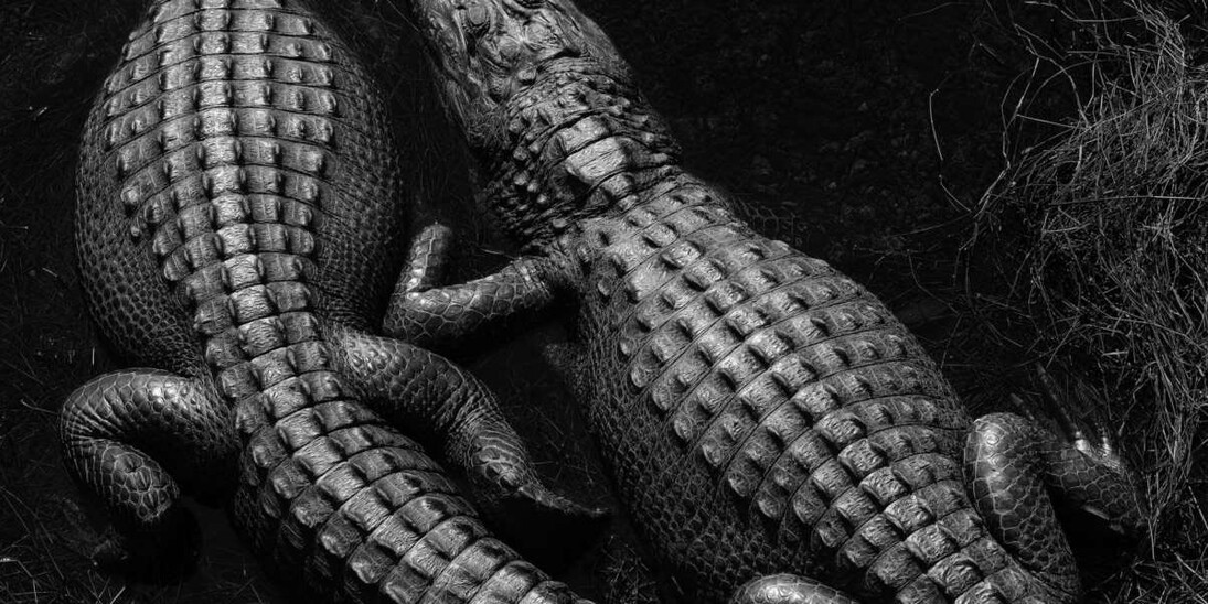 Living 24/7. Courtesy of NRW-Forum