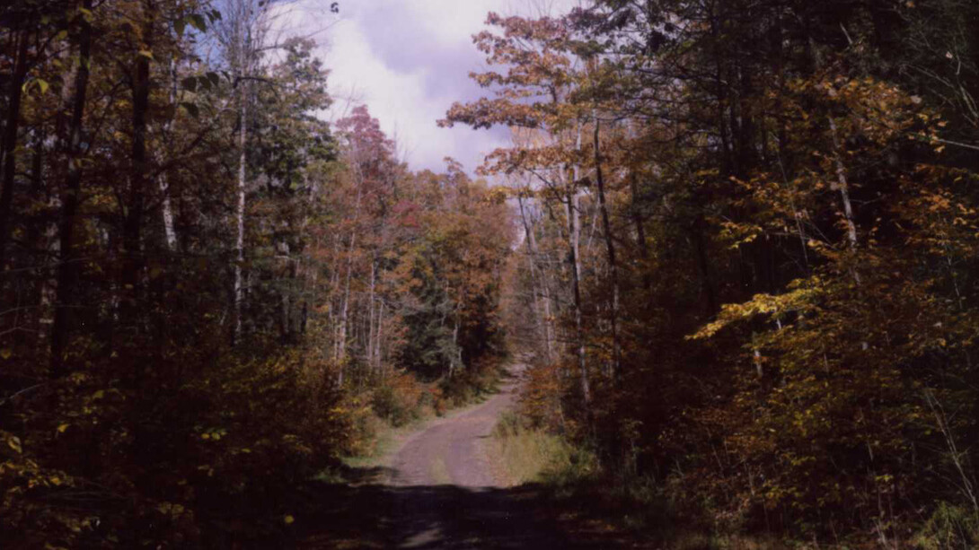 Trevor Paglen, Near lake grove (undated) (detail), 2025. Courtesy of Norton Museum of Art