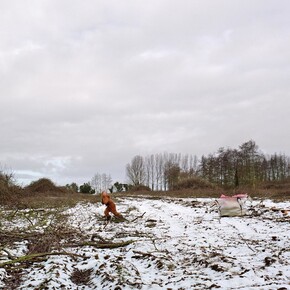 Frances Kearney, Untitled IV. Running Wild, 2013 © Frances Kearney