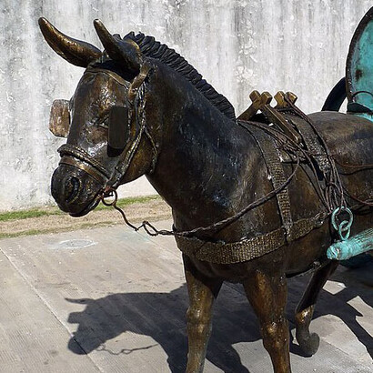 Es grande el aporte de las ciencias antropológicas en México al conjunto íntegro de la nación y a la región toda