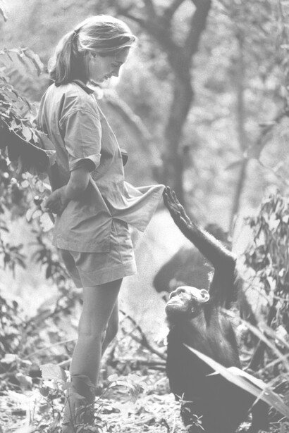 She was the first to assign not numbers as was done until then to animals, in this case to her chimpanzees, but to people's names 