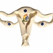 Michele Giangrande, Womb, 2013, ceramic real dimensions. Courtesy Paolo Erbetta Gallery, Berlin.