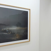 Nicolas Dhervillers. Courtesy of Nathalia Tsala Gallery