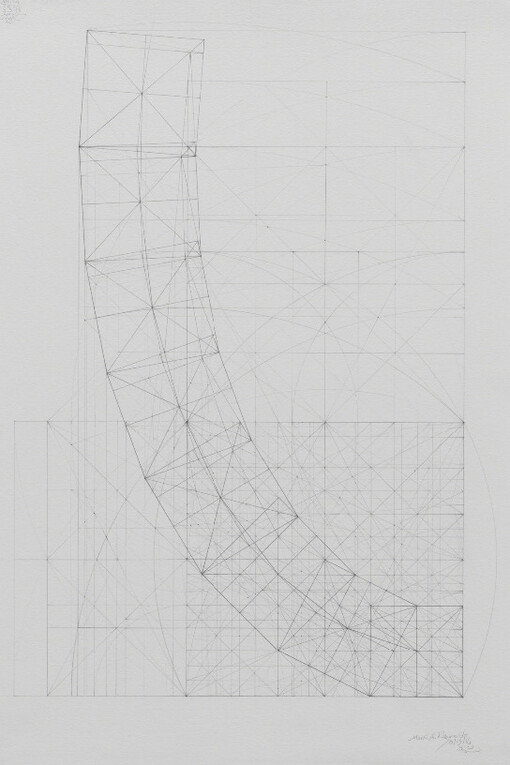 Order Chaos Disorder. Courtesy of Pierogi 