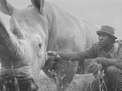 If catastrophic climate change is not avoided, many plants and animal species will become extinct as a consequence of increasing temperatures