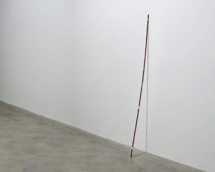 Sreshta Rit Premnath. Courtesy of ACE Gallery 