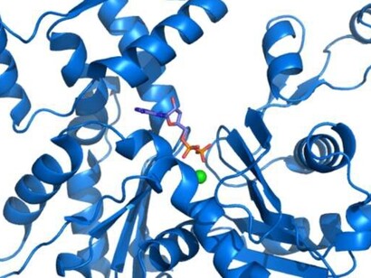La structure primaire des polymères est linéaire, en forme de fibre ou de chaîne