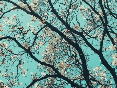 Macau é uma fusão de saudade, de memórias e de sonho