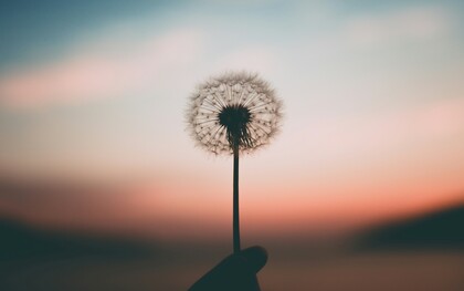 Anche quando tutto tace, qualcosa continua a tendere verso il possibile: la speranza non dimostra, ma insiste