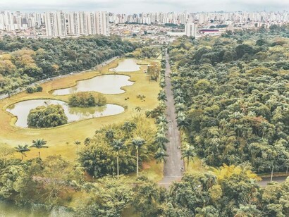 An aerial view of the majestic Central Park in New York City, USA