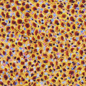 Nabil Nahas. Courtesy of Ben Brown Fine Arts