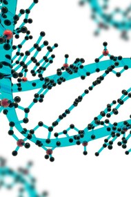A strand of DNA