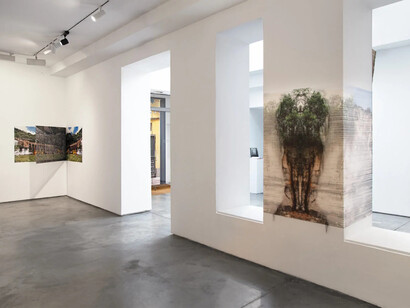 Leyla Cárdenas, Posibles bifurcaciones, vista de exhibición. Cortesía de la Galería Max Estrella