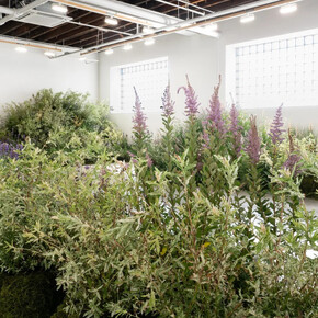 Nicole Rossi, Desire path, exhibition view. Courtesy of Carvalho