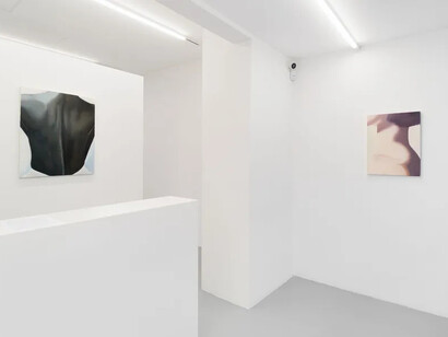 Adelisa Selimbašić, The dancefloor, vista della mostra. Cortesia di Galleria z2o Sara Zanin 