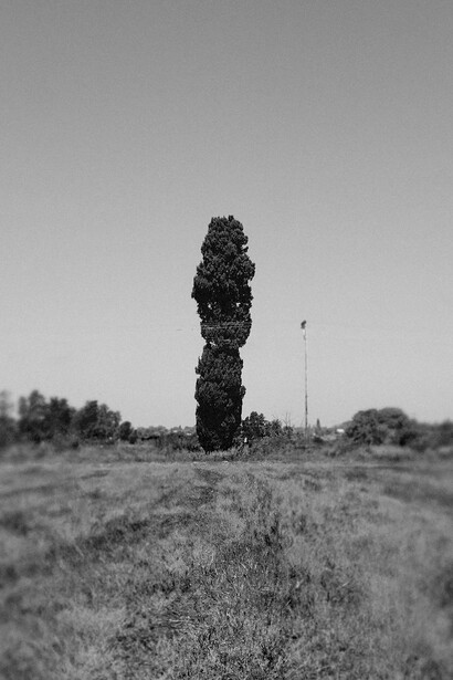 Uri Gershuni, 2020-22. Courtesy of Tel Aviv Museum of Art