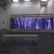 Jesper Just, Interoceptions, exhibition view. Courtesy of Galleri Nicolai Wallner 