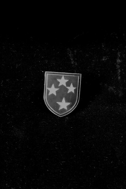 Insignia de los Americal