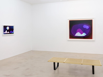 Liz Nielsen. Force Fields, Exhibition view. Courtesy of NextLevel Galerie