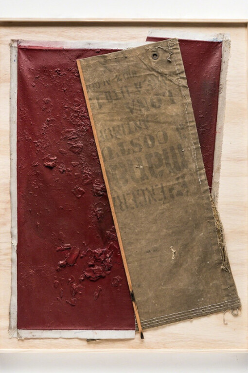 Ricardo Ribenboim. Courtesy of Galeria Raquel Arnaud
