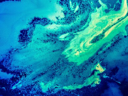 We are missing something fundamental in our understanding of nature