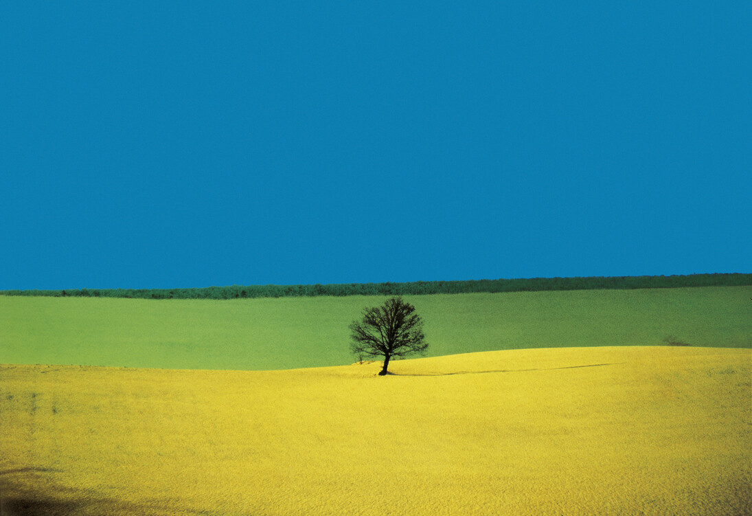Franco Fontana, Puglia 1987
