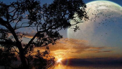 Il cielo della settimana