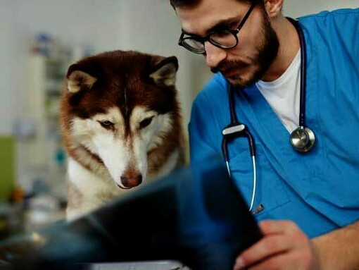 Research shows over 25% of workers deal with high levels of stress and burnout 