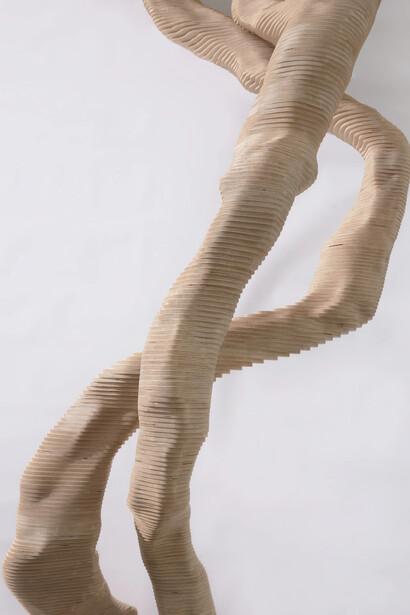 Daniel Crooks, Object #8 (pause and turn), 2021 (detail). Courtesy of  Art Gallery of NSW