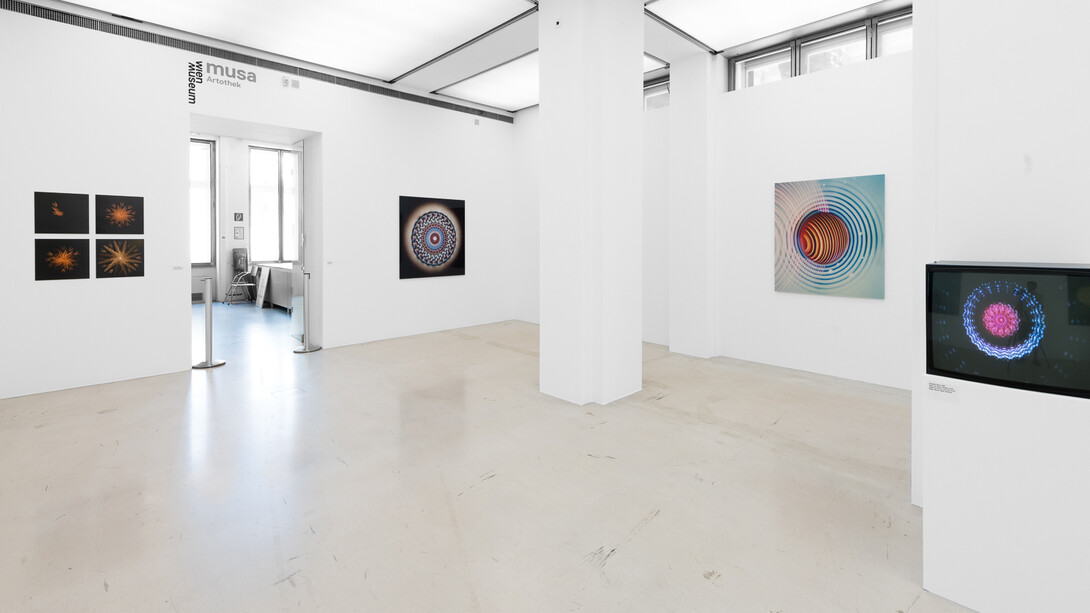 Karl Heinz Koller, The image generator, exhibition view. Courtesy of Musa Museum