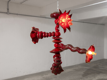 Alicja Biała, Raw Earth, rare Earth, exhibition view. Courtesy of Berntson Bhattacharjee 