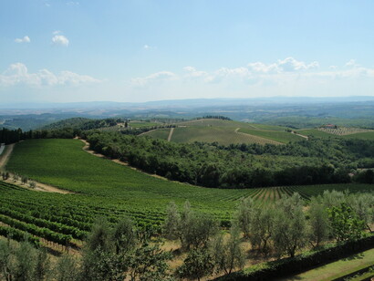 La campagna toscana in Val D’Orcia