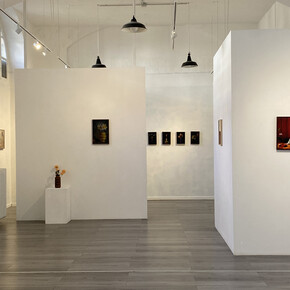 Diego Dominici, You deserve, exhibition view. Courtesy of Febo e Dafne Gallery