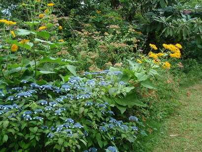 Eleganti fioriture in un piccolo giardino ne espandono la visuale